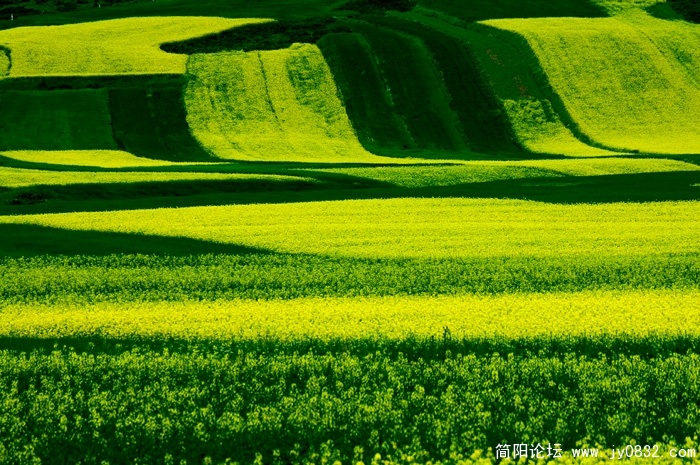 DSC_6835 拷贝.jpg