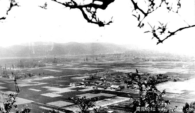 1980河东.jpg