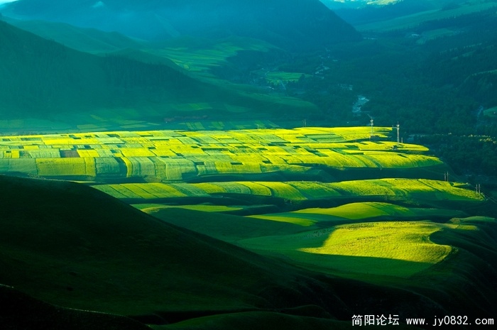 DSC_6896 拷贝 拷贝.jpg