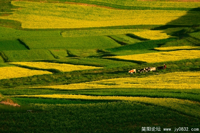 DSC_7223 拷贝.jpg