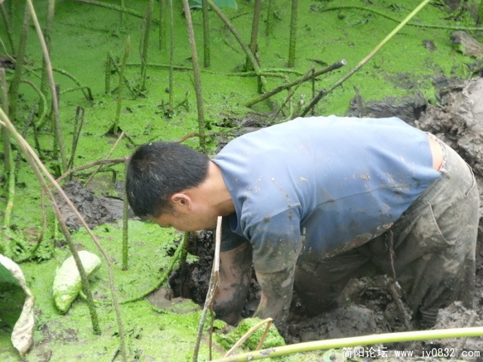 DSCF2047.JPG