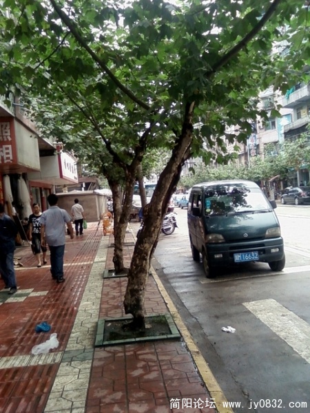 SP_A5561.jpg