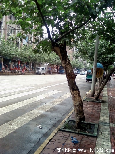 SP_A5560.jpg