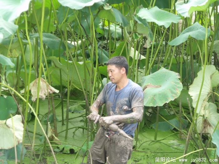 DSCF2058.JPG