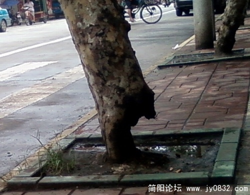 复件 SP_A5559.jpg