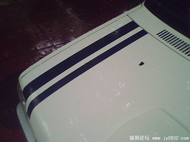 IMG2062A.jpg