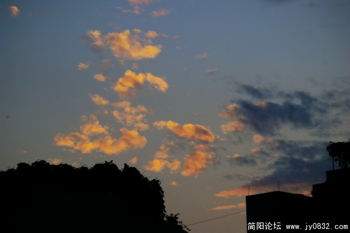 IMGP2411.jpg