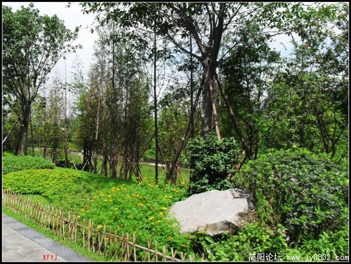 SDC10106.JPG