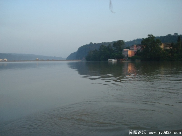 BigBull_DSC09883.JPG