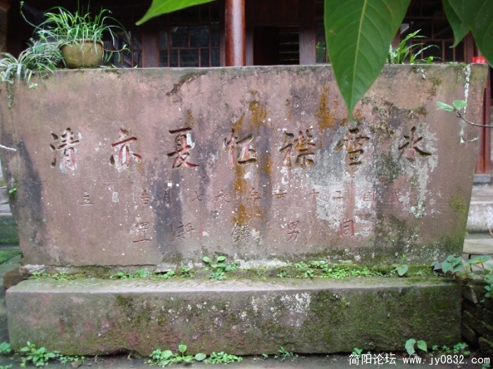 BigBull_DSC09949.JPG
