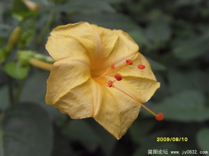 SDC17423.JPG