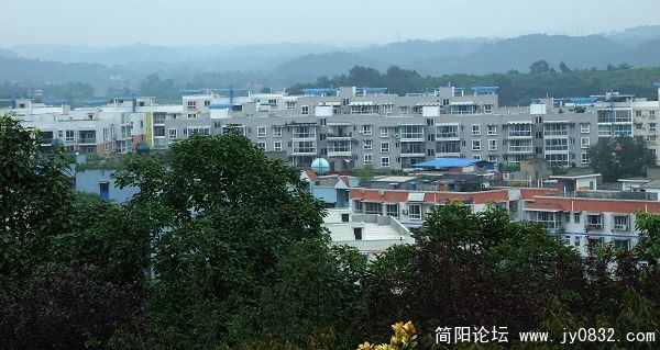 DSCF3459a.jpg