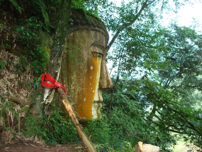 BigBull_DSC09985.JPG