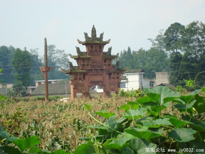 BigBull_DSC00020.JPG