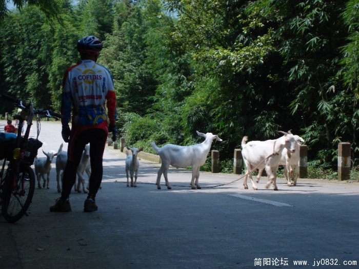 BigBull_DSC00047.JPG