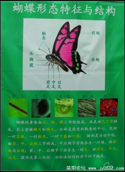 SDC10259.JPG