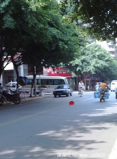 20090814127.jpg