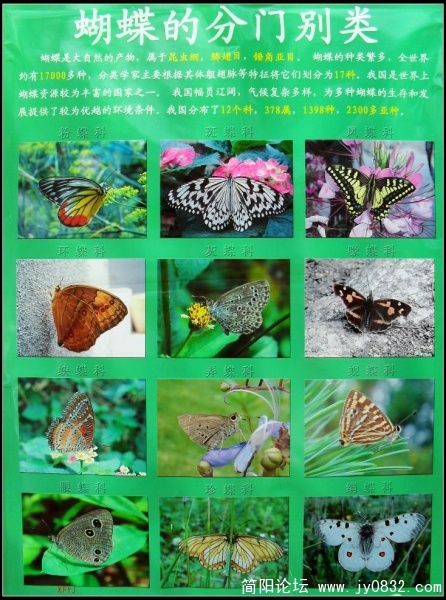 SDC10242.JPG