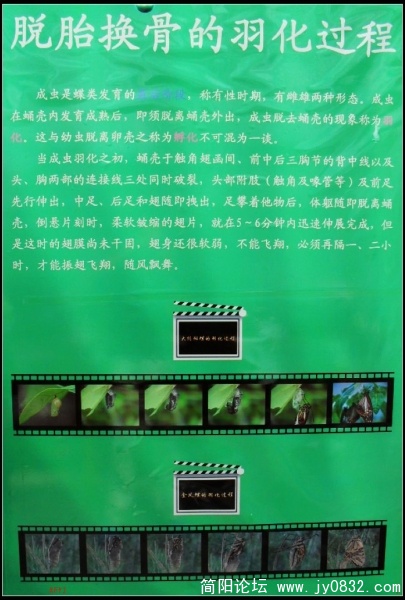 SDC10251.JPG