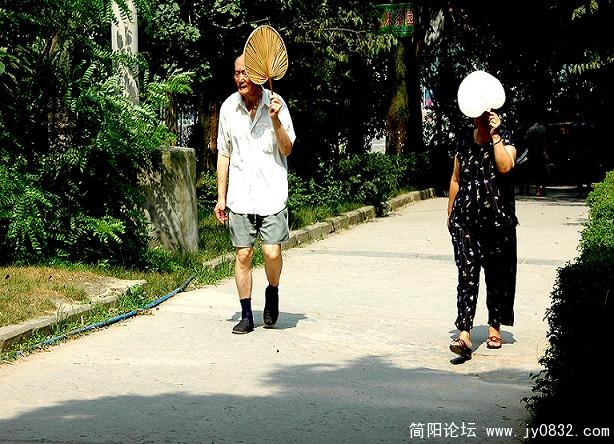 烈日下的两颗心.jpg