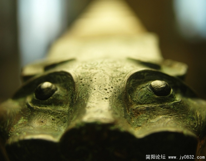 DSC_2127-1-1.jpg