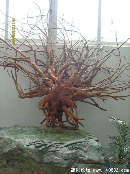 旋转 S7308223.JPG
