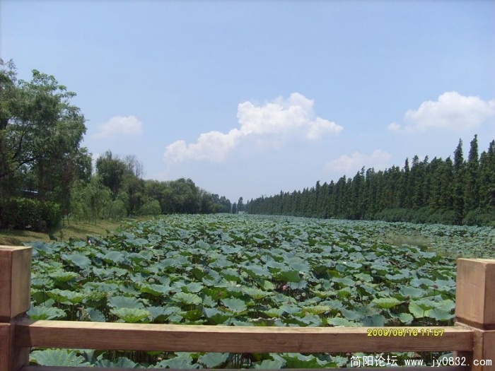 S7308163.JPG