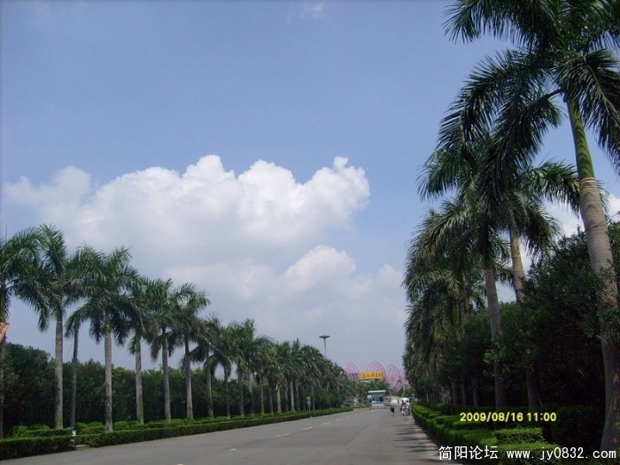 S7308090.JPG