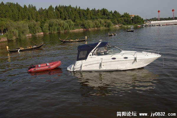 20090813_fed4203d800cd6aed5e3jTSMHzZmewFv.jpg