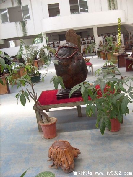 旋转 S7308221.JPG