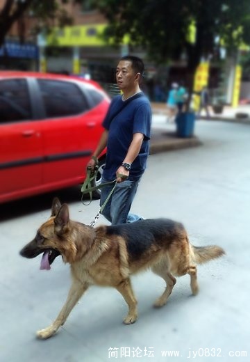 20090820230.jpg