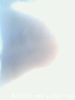 IMG0088A.jpg