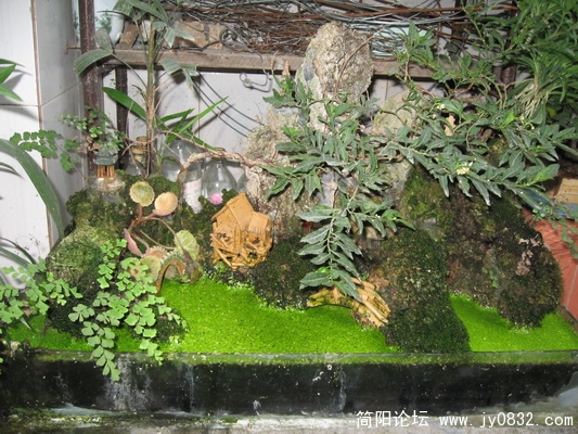 IMG_0163.JPG