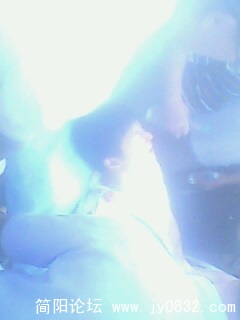 IMG0084A.jpg