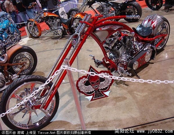 2009_6_19_84206_9484206.jpg