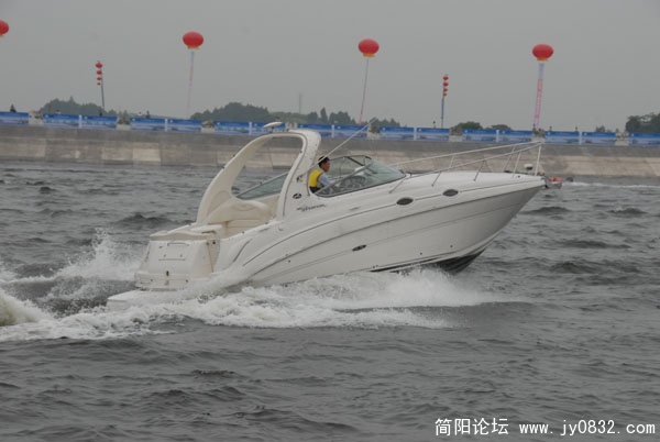 DSC_8401.JPG
