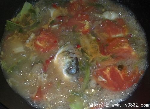 20090824357.jpg