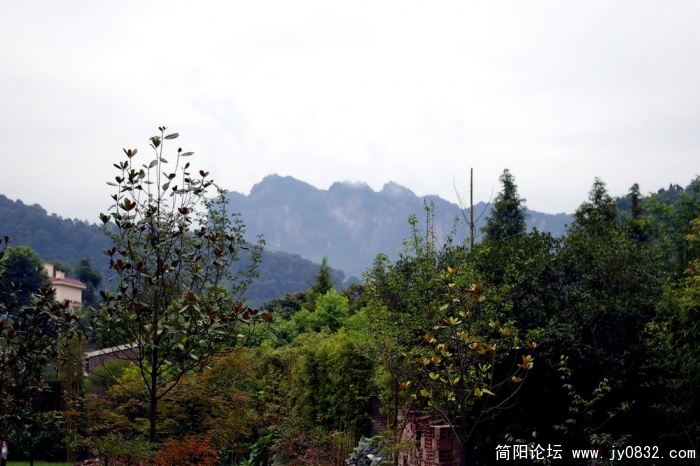 IMGP2730.jpg