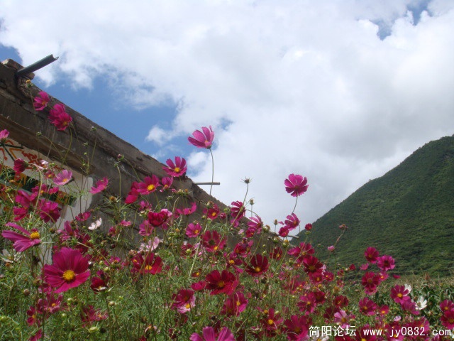 DSC01336.JPG