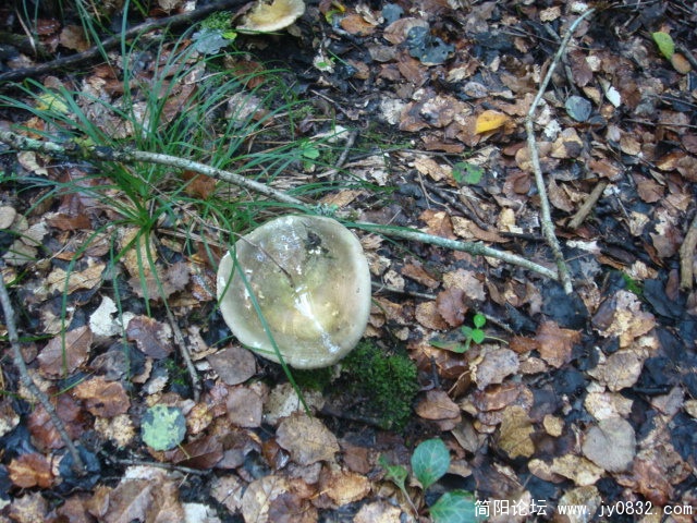 DSC01321.JPG