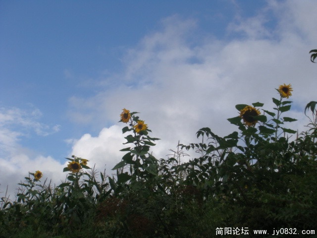 DSC01263.JPG