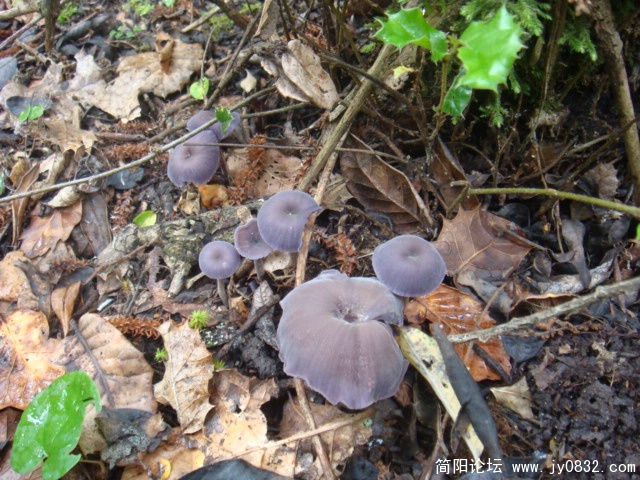 DSC01303.JPG