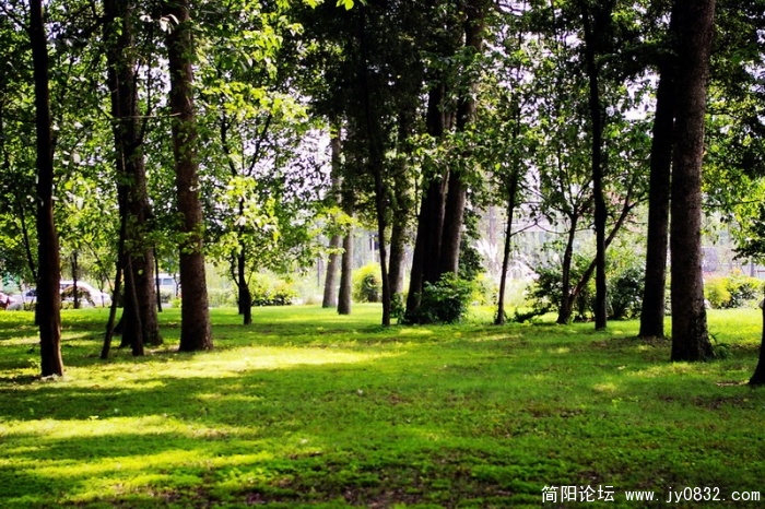 IMGP2778.jpg