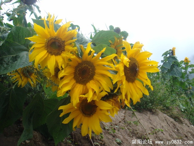 DSC01269.JPG