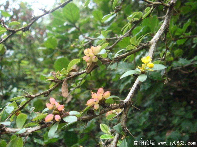 DSC01295.JPG