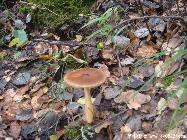 DSC01316.JPG