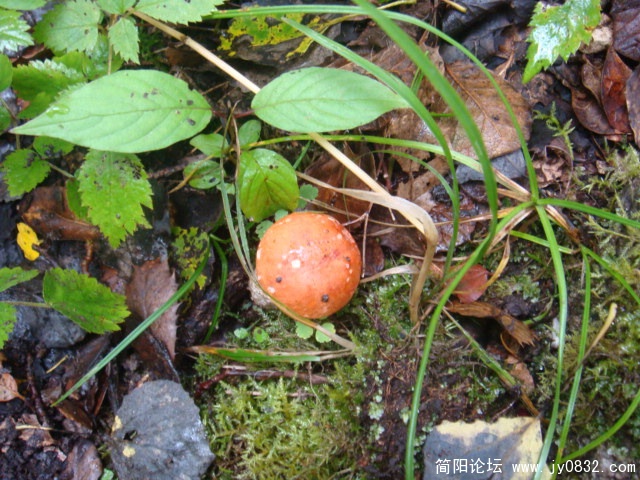 DSC01312.JPG