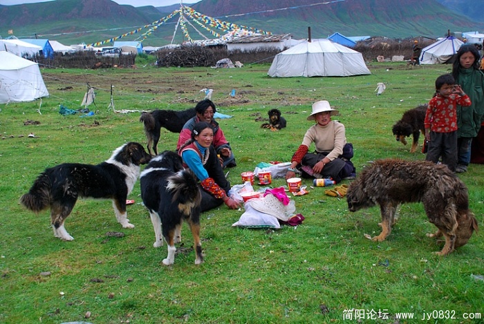 草地上的午餐