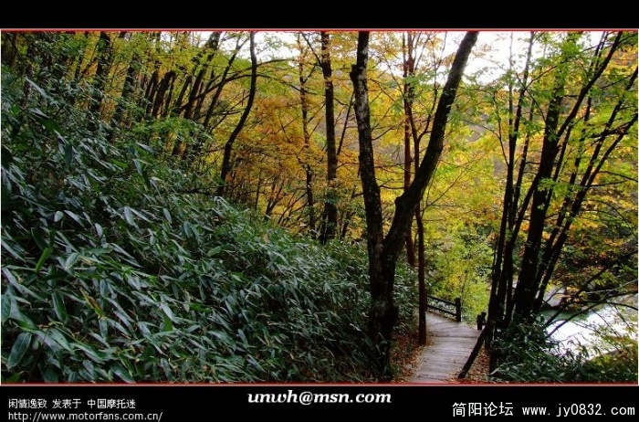 74_Ii053fP6X2L5.jpg
