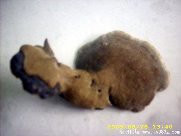 DSCI2685.jpg